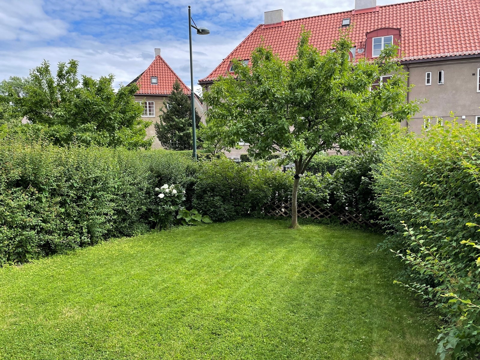 Selgers eget sommerbilde. Galleribilde