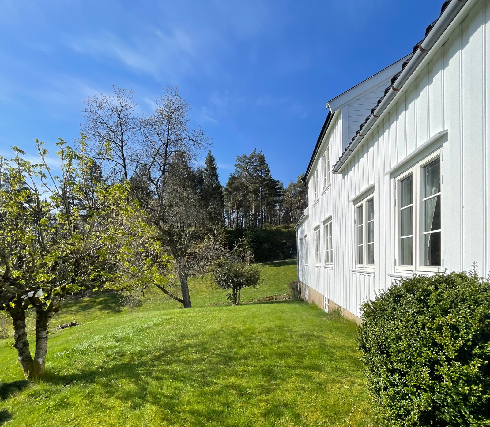 Fremsiden av huset, meget flott hage Galleribilde
