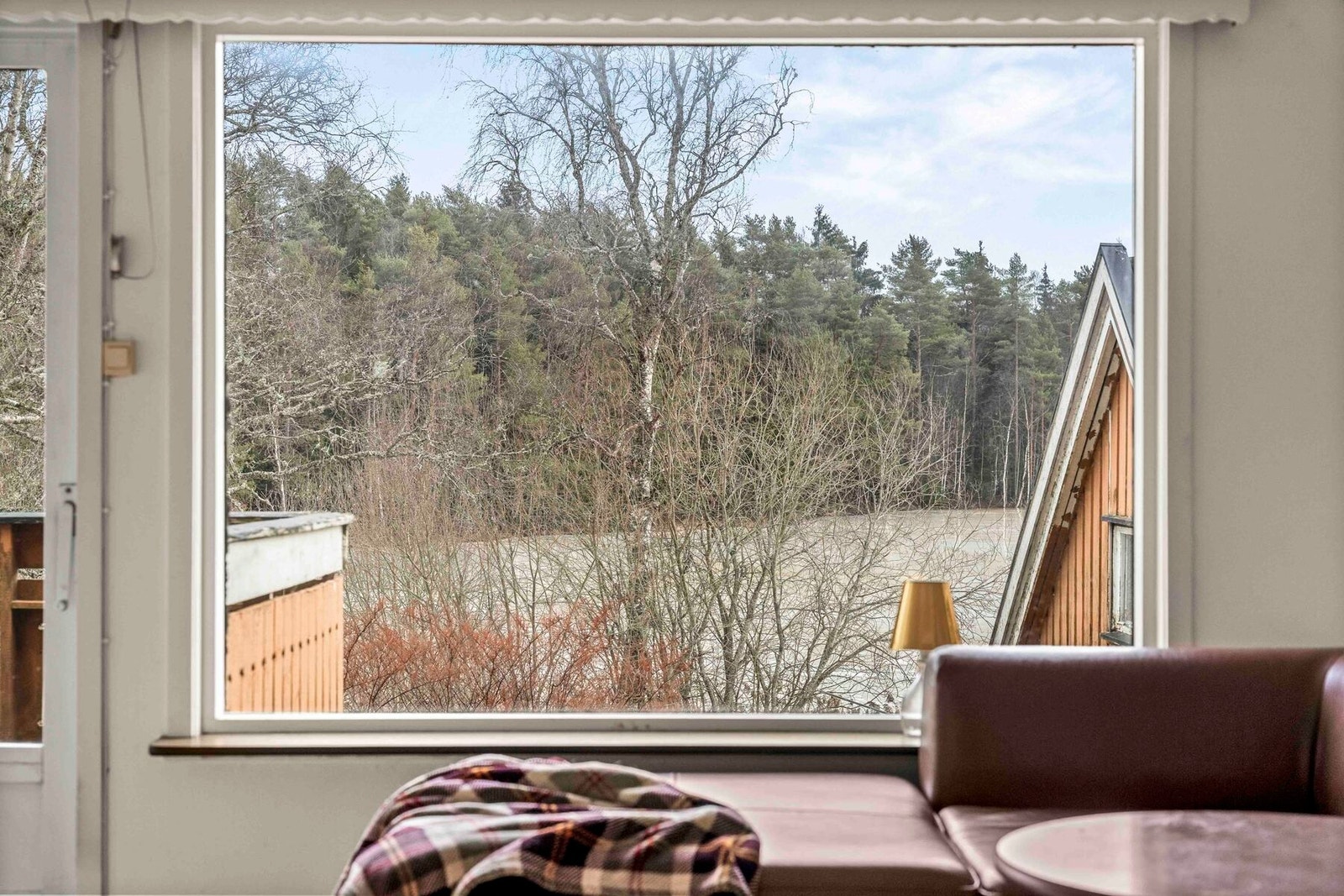 Flott utsikt over tjernet og skogsarealene Galleribilde