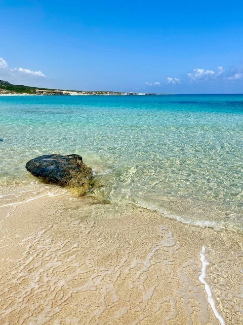 Havet på Kypros er Europas reneste og du kan bade hele året. Her fra Karpaz. Galleribilde