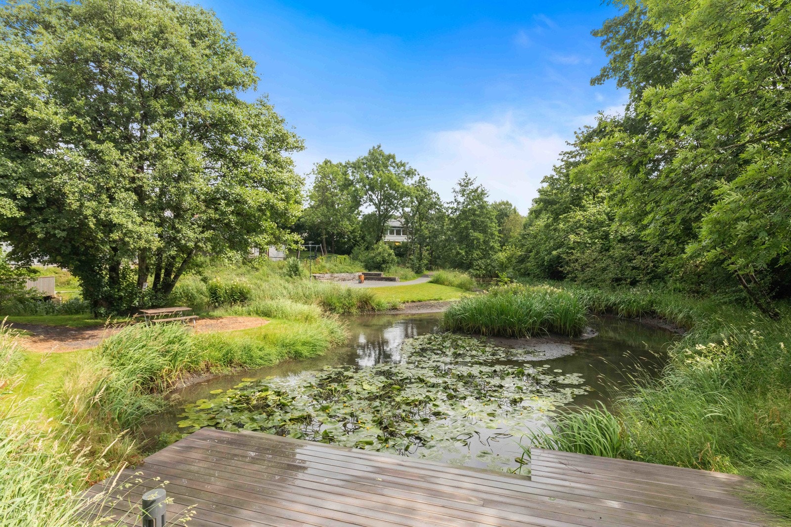 Naturskjønne nærområder Galleribilde