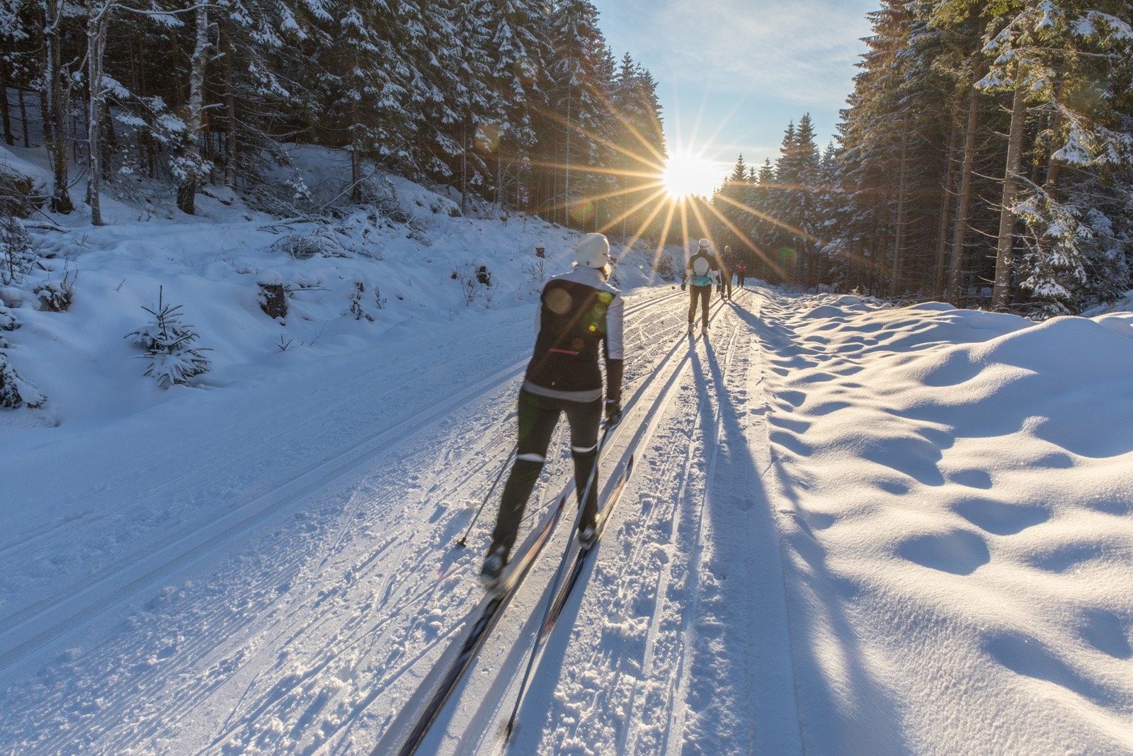 Østmarka ligger rett ved, og har mange fine turmuligheter sommer og vinter. Galleribilde