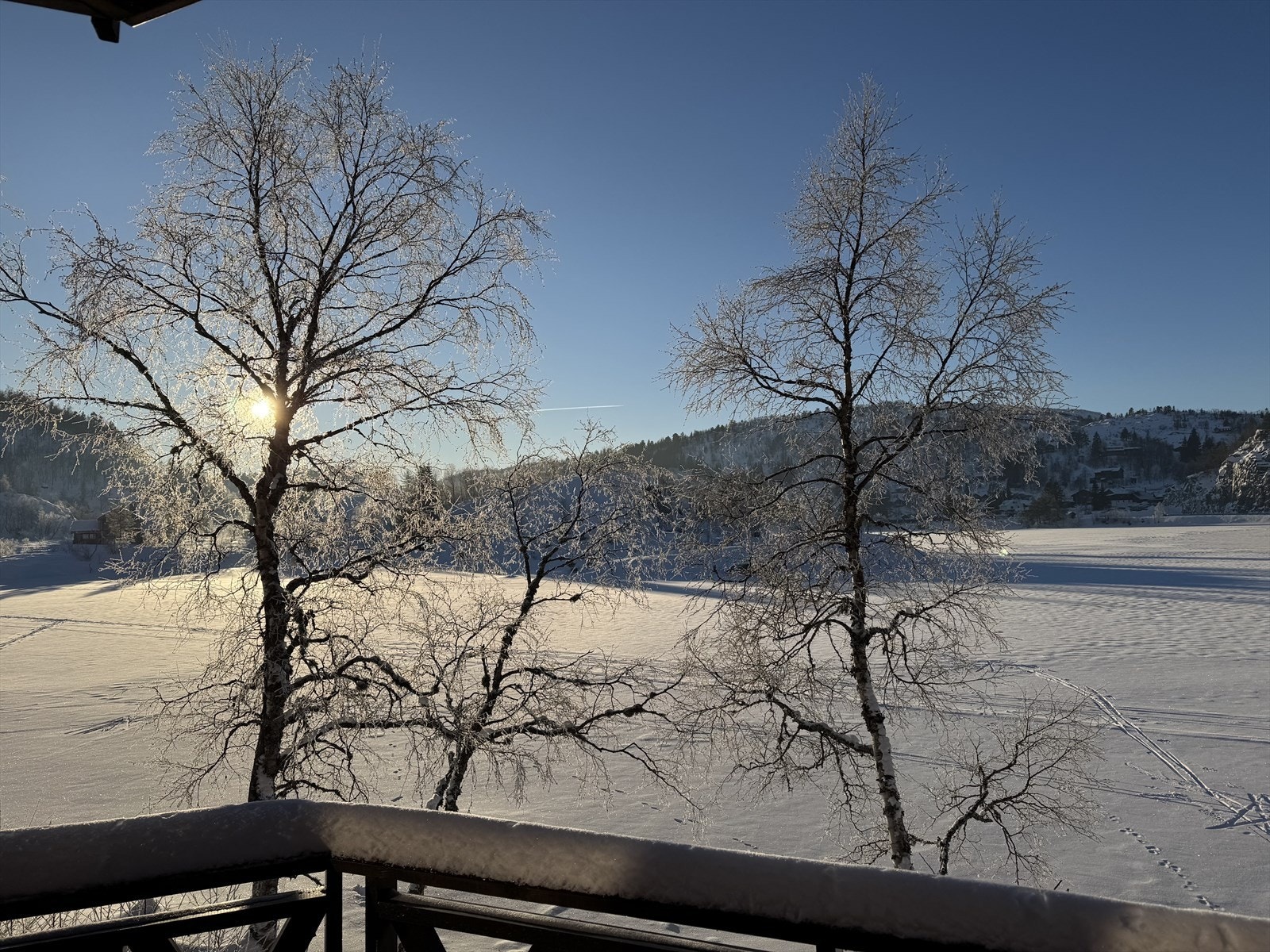 Private bilder. Galleribilde