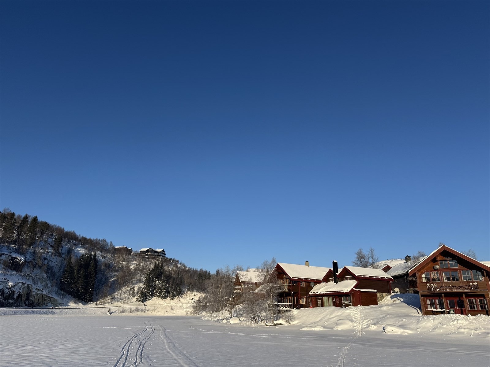 Private bilder. Galleribilde