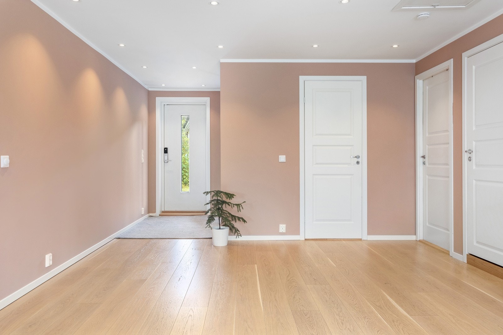 Hall/stue Galleribilde