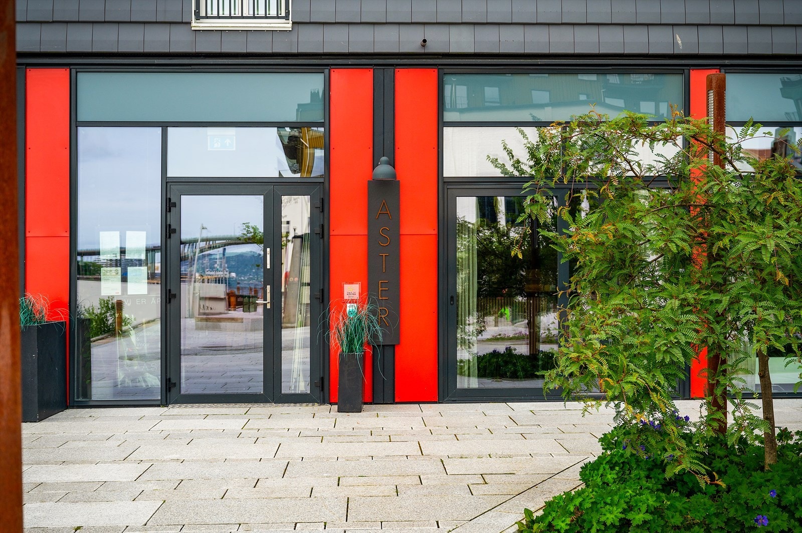 - Besøk Restaurant Aster for en utsøkt opplevelse med smakfull fisk og sjømat - Galleribilde
