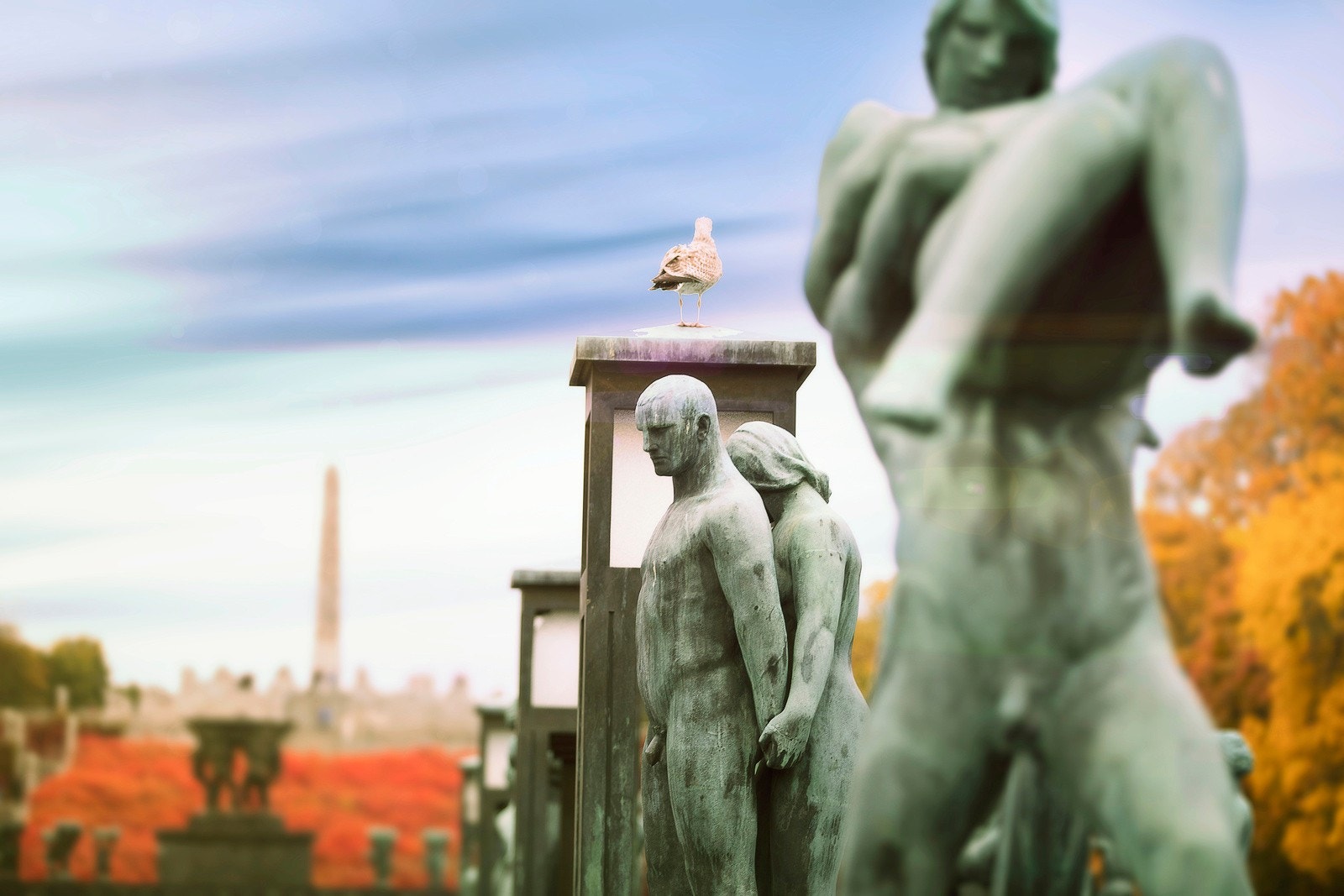 Det er få minutters gange til Frognerparken med gode muligheter for tur- og parkliv. Galleribilde