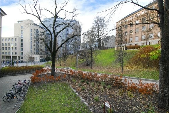 Ute Galleribilde