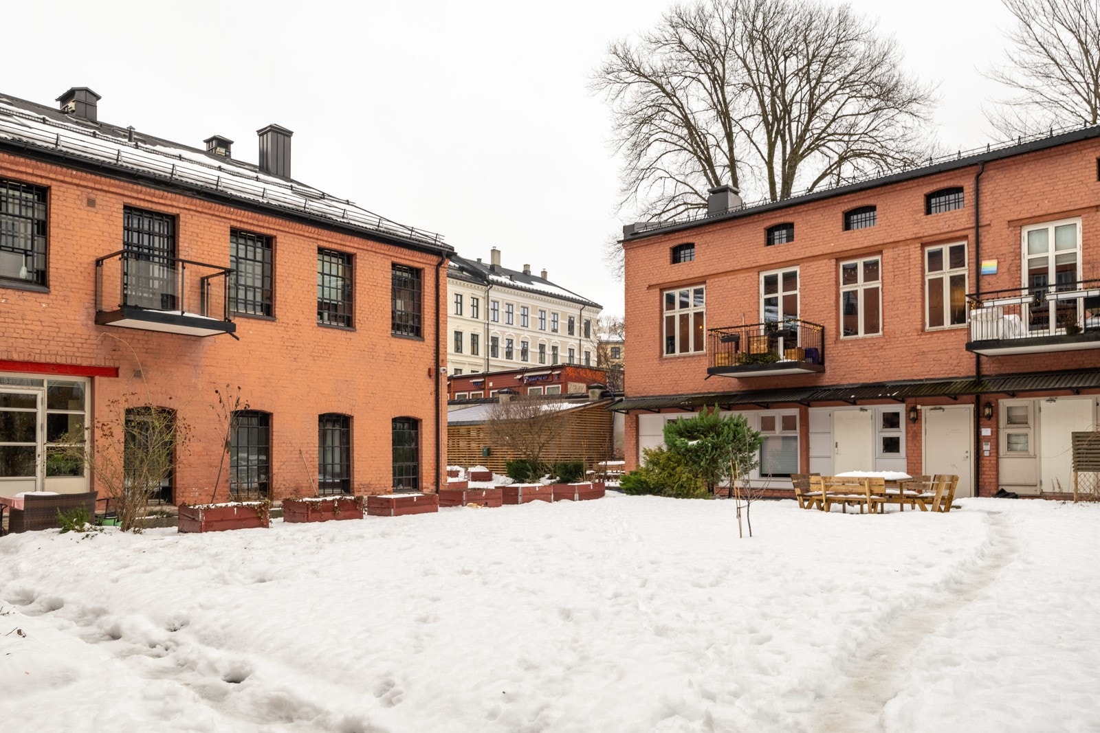 Koselig felles bakgård for beboerne. Galleribilde