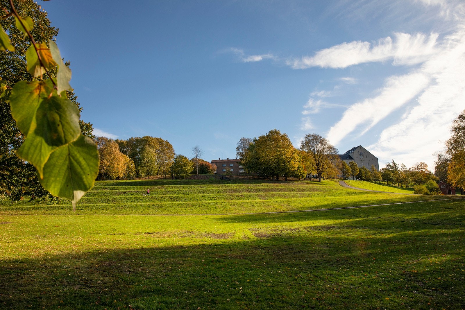 Nærområde - Tøyenparken. Galleribilde