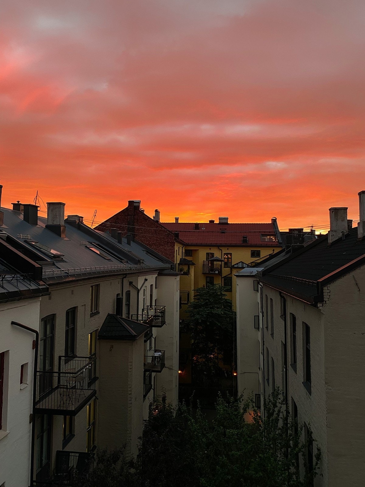 Selgers eget bilde. Galleribilde