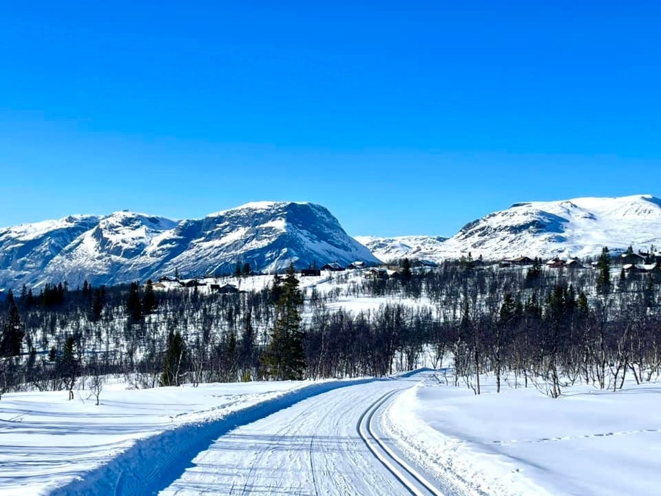 Flott skiterreng Galleribilde