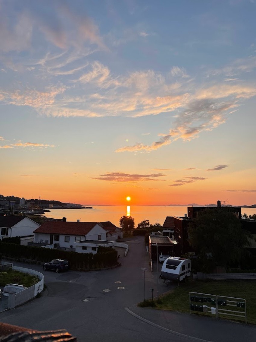 Selgers eget bilde Galleribilde