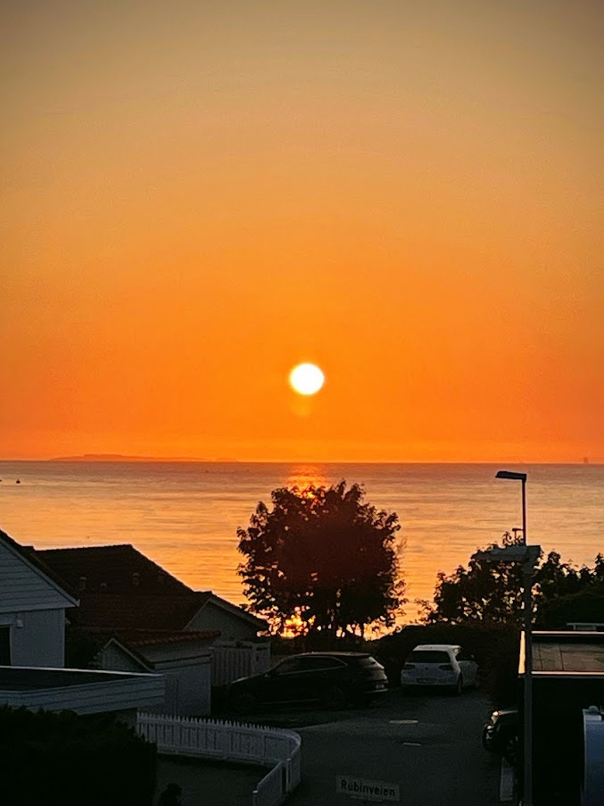 Selgers eget bilde Galleribilde