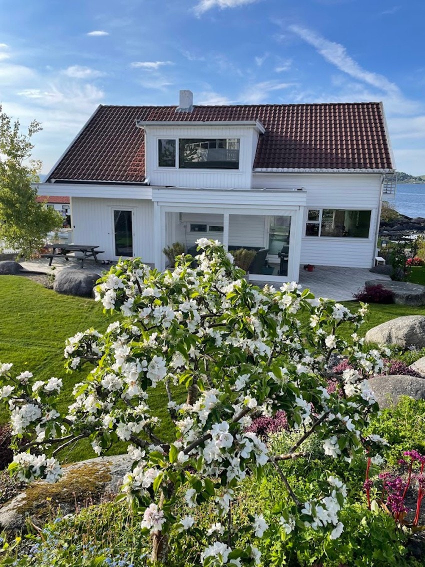 Selgers eget bilde Galleribilde