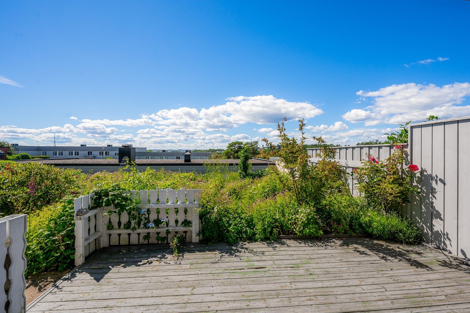 Sjarmerende uteområde med frodig beplantning og solrik terrasse. Perfekt for avslapning og sosiale sammenkomster Galleribilde