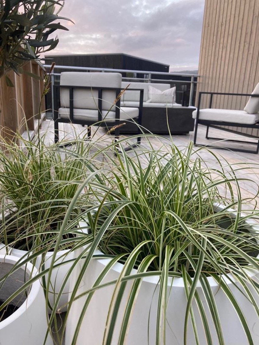 Detal terrasse Galleribilde