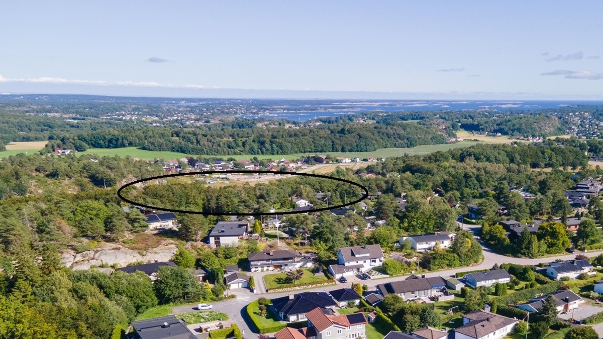 Sandkollen Galleribilde