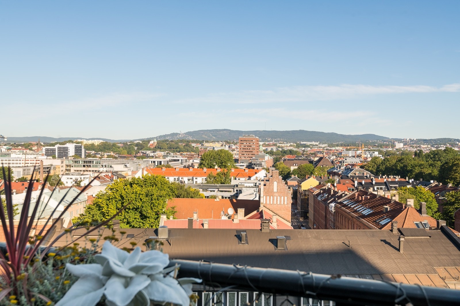 Nydelig utsikt over byen, mot Holmenkollen. Galleribilde