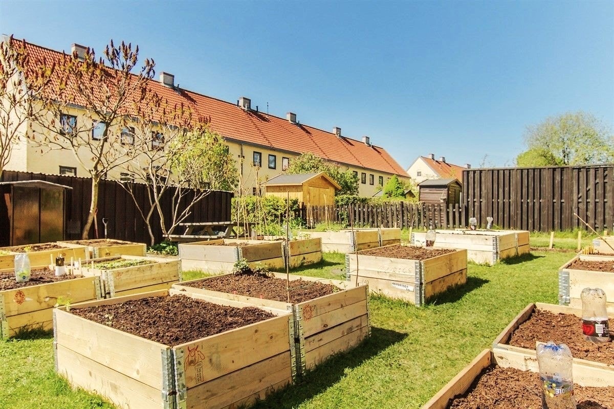 På fellesområdet finner du "Barnas parsellhage" der man kan få tildelt egen parsell og dyrke egne grønsaker! Borettslaget har også en birøkterklubb, der honning høstes og deles ut en gang i året. Du kan følge bienes liv på: www.instagram.com/hagebihonning Galleribilde