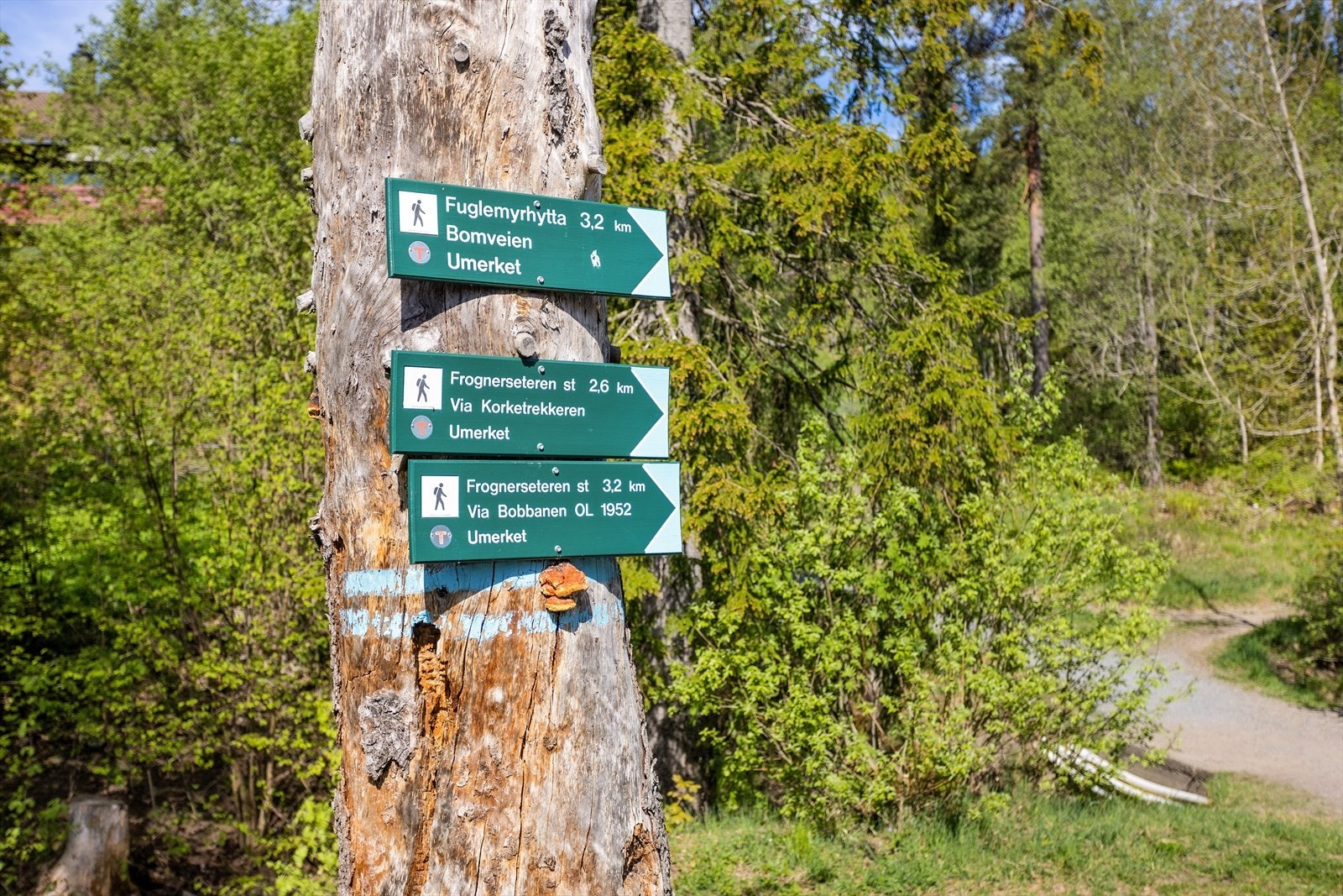 Her har du også adgang til milevis av turløyper. Galleribilde