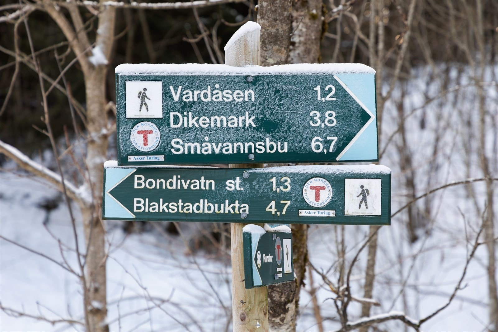 Det er flere flotte turmuligheter i området med Vardåsen toppen som nærmeste. Galleribilde