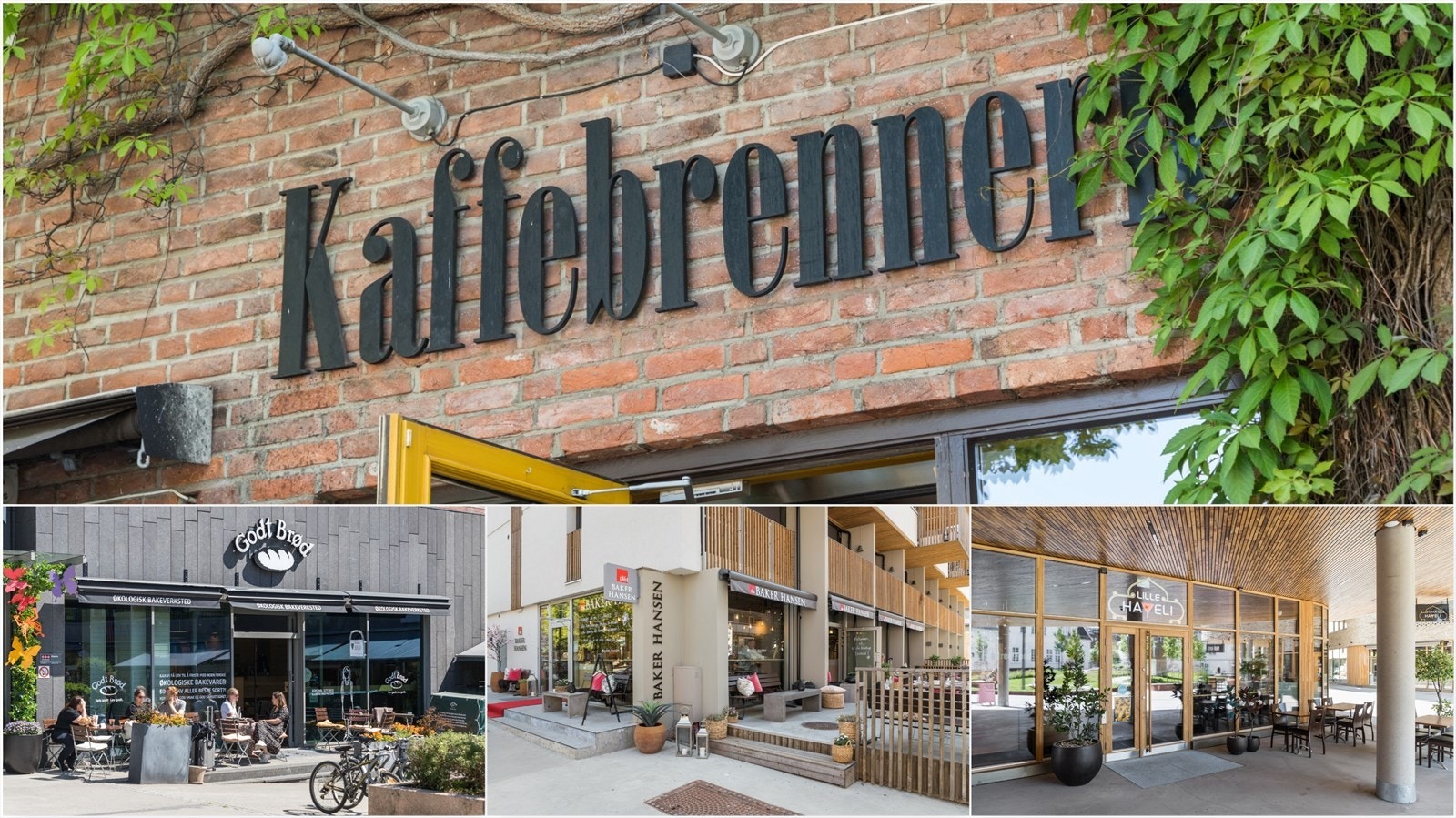 Her kan man nyte alt fra en enkel kopp kaffe til gode måltider fra ulike internasjonale kjøkken. Galleribilde