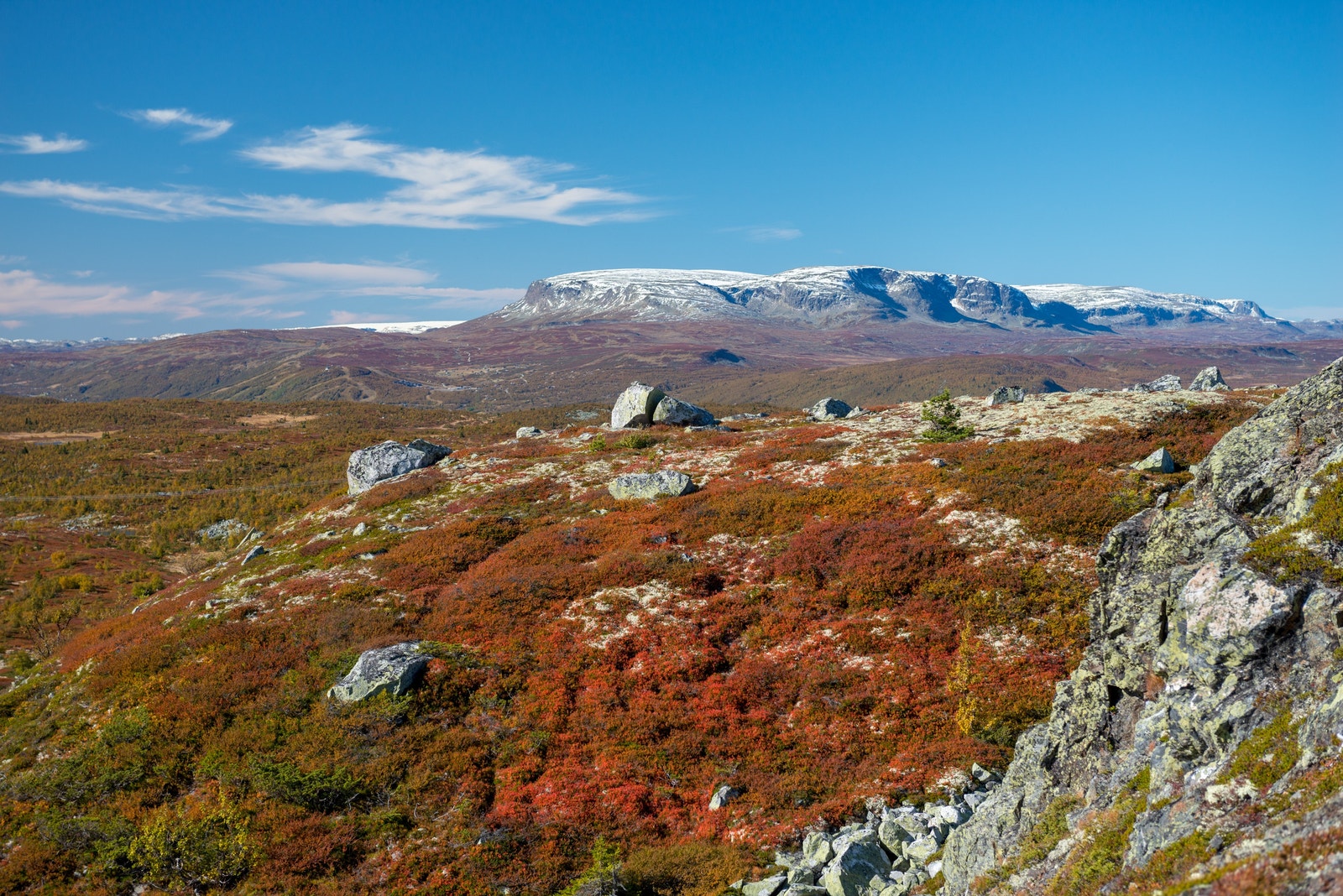 Sangefjell er en del av et stort fjellområde som strekker seg fra Nesbyen til Geilo Galleribilde