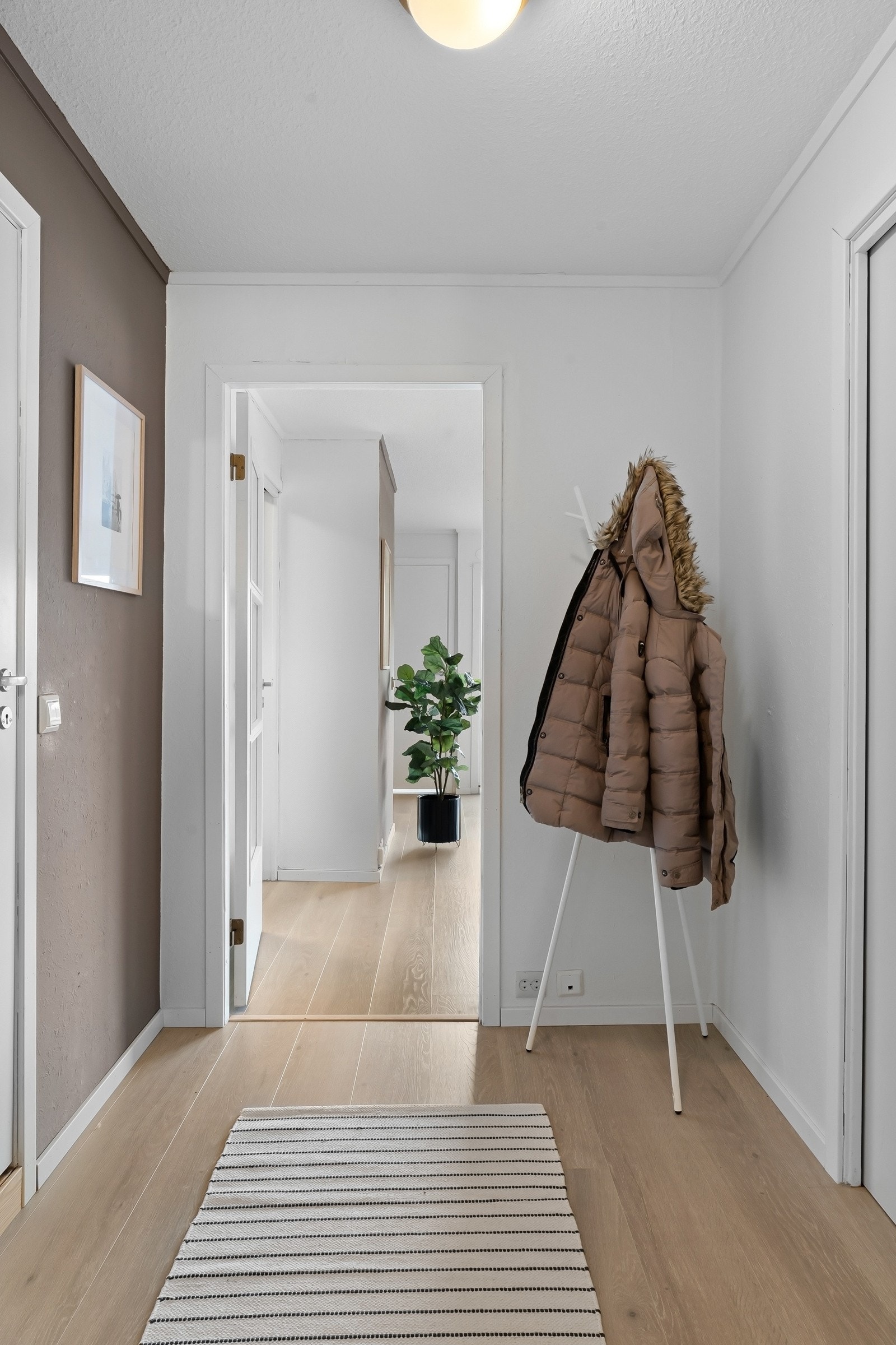 Lys og innbydende gang Galleribilde