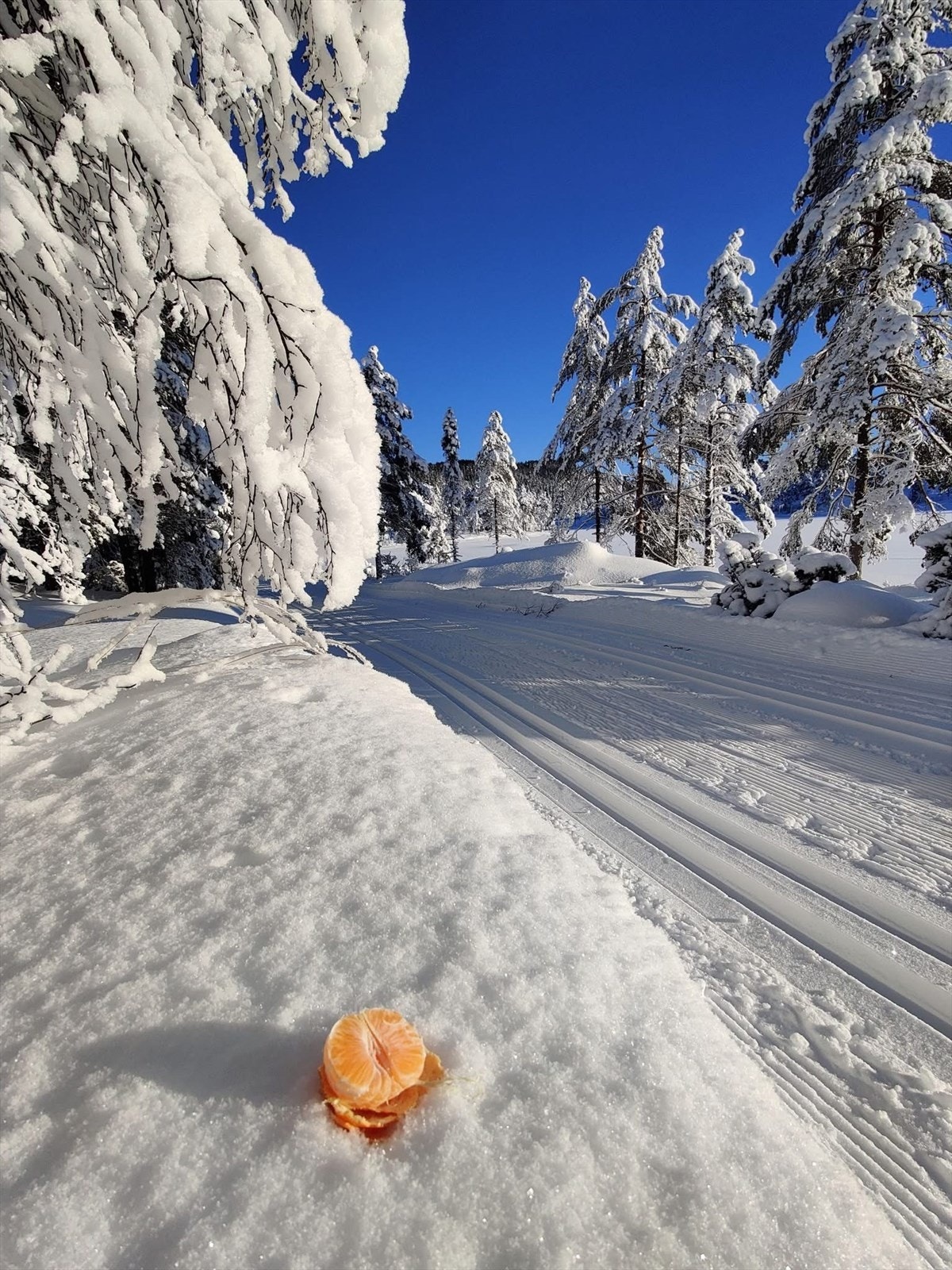 Det er flotte skiløyper like utenfor hytten Galleribilde