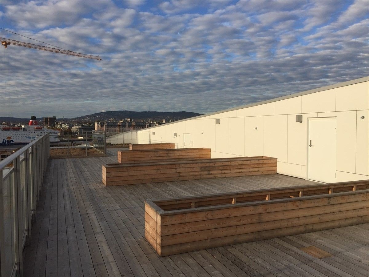 Felles takterrasse. Galleribilde