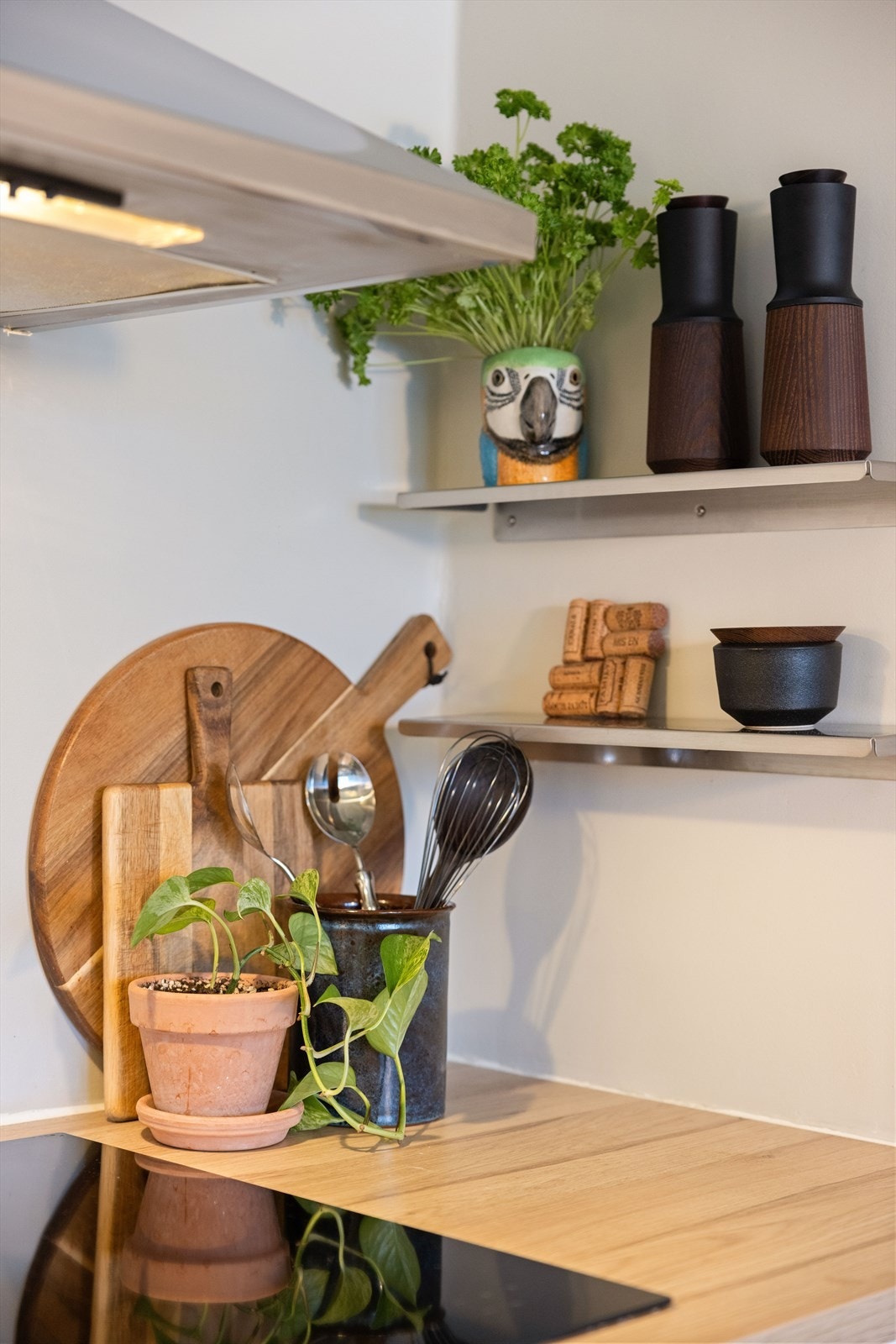 Det er ventilator over kokeplass med kullfilter Galleribilde