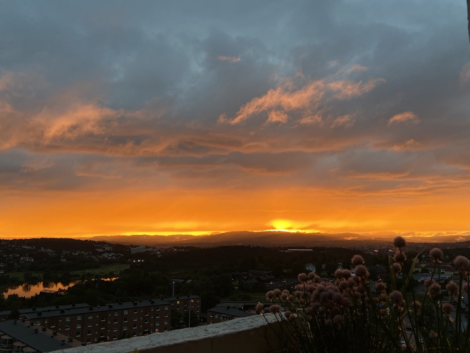 Fantastisk utsikt! (Privat bilde om sommeren) Galleribilde