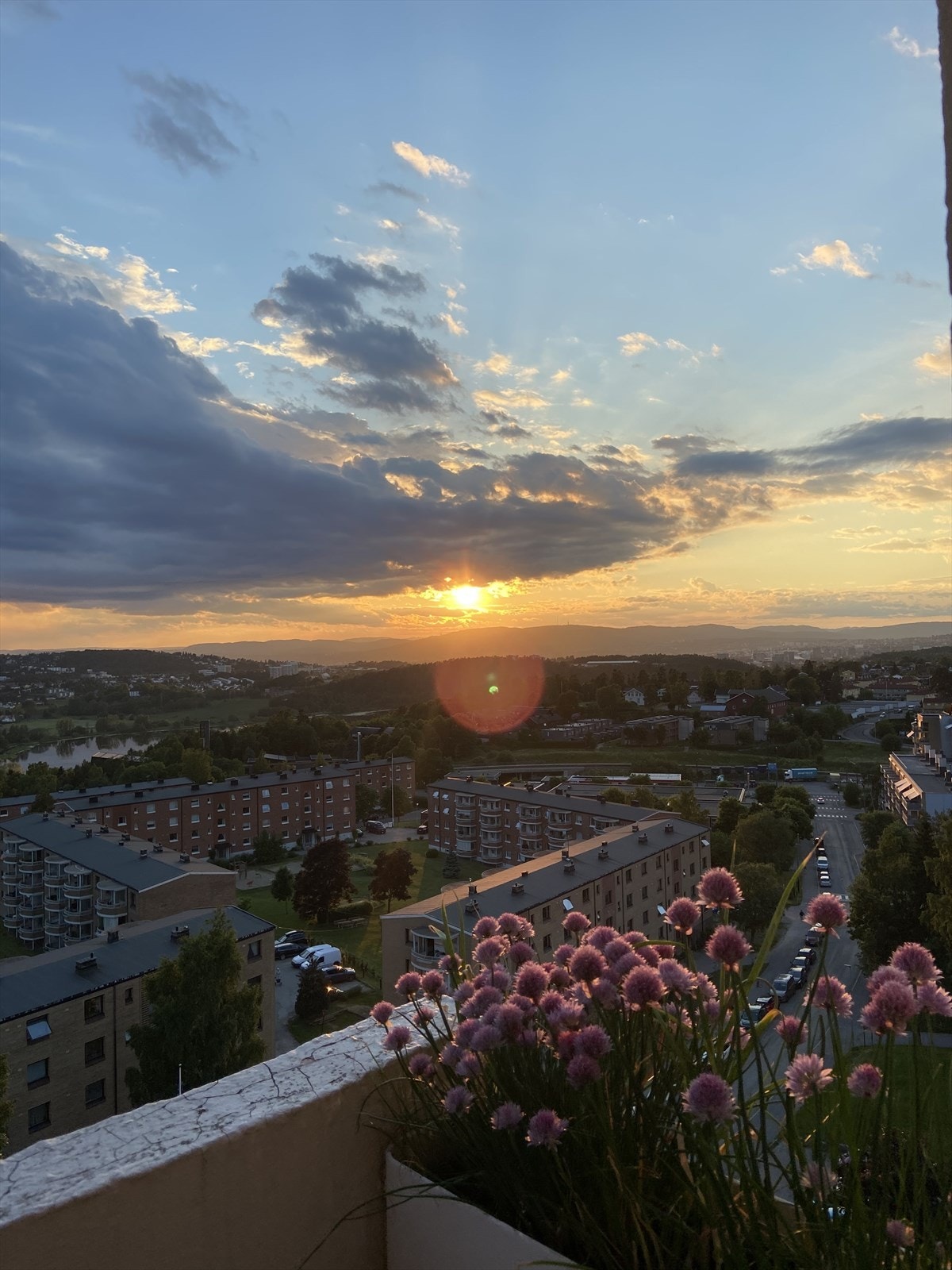 Privat bilde om sommeren Galleribilde