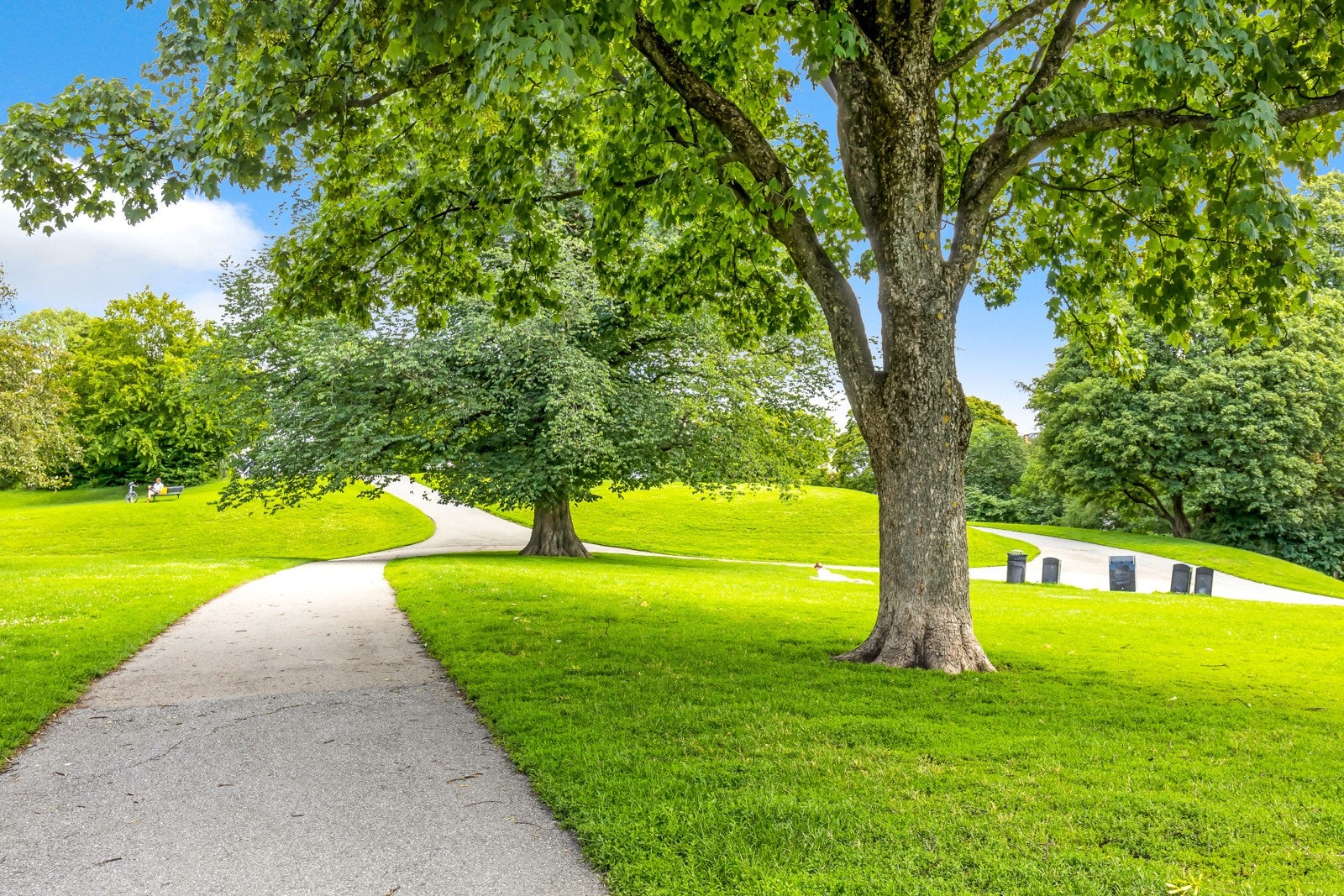 Fra leiligheten er det gangavstand til flere flotte parker som Stensparken, St. Hanshaugen park og Slottsparken Galleribilde