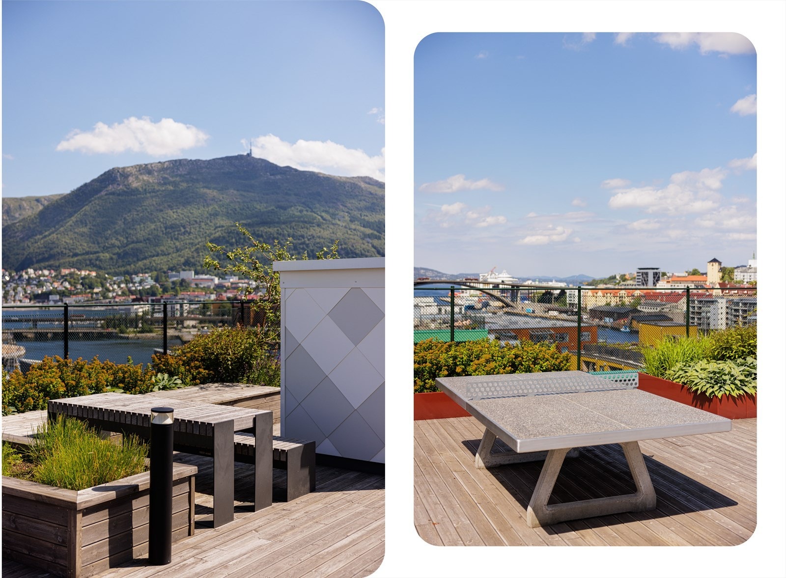 Sameiet har en helt nydelig takterrasse med bordtennisbord, sitteplasser og grønnsakshage Galleribilde