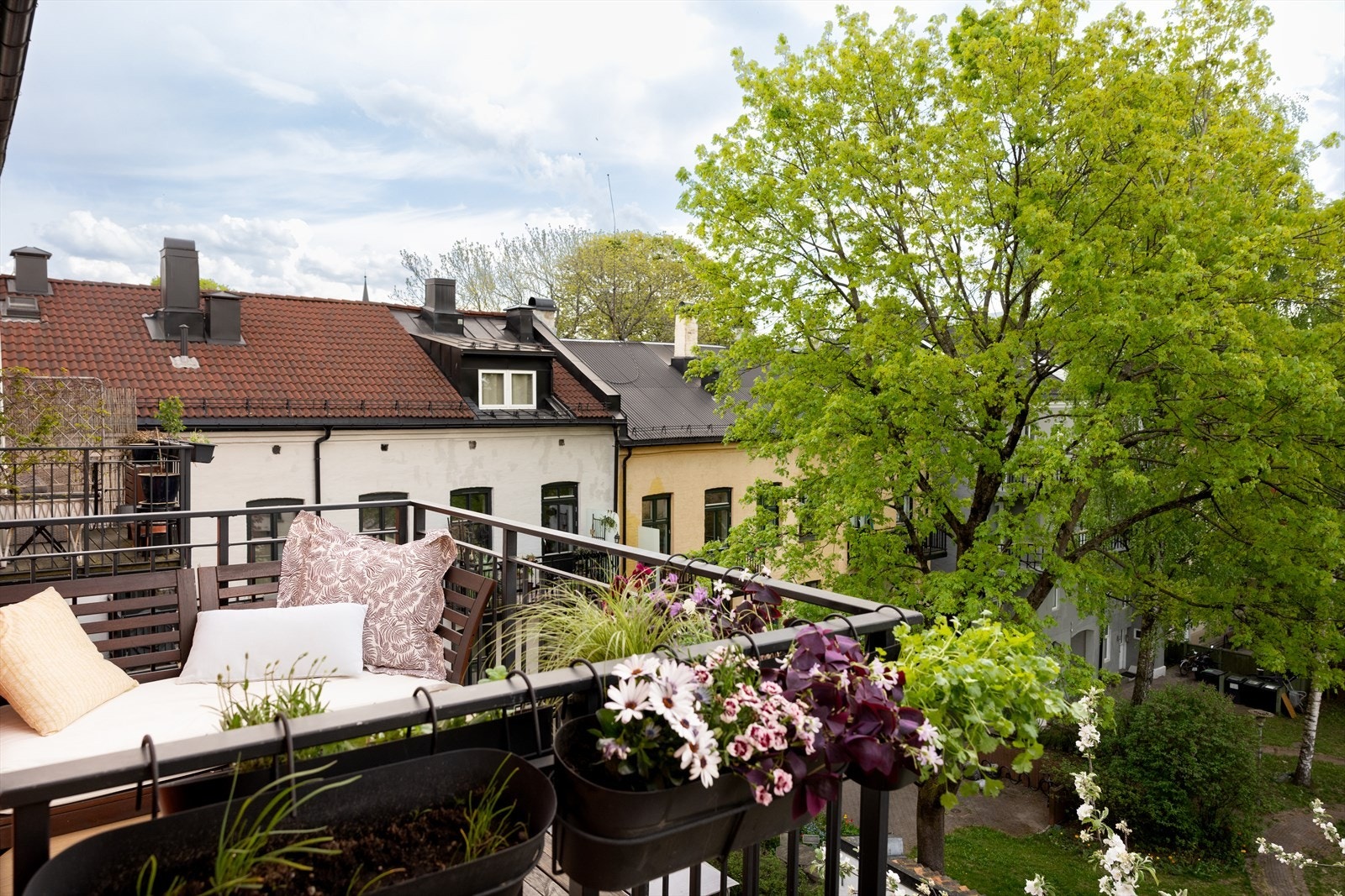 Fantastiske frodig bakgård med frukttrær og parkfølelse. Galleribilde