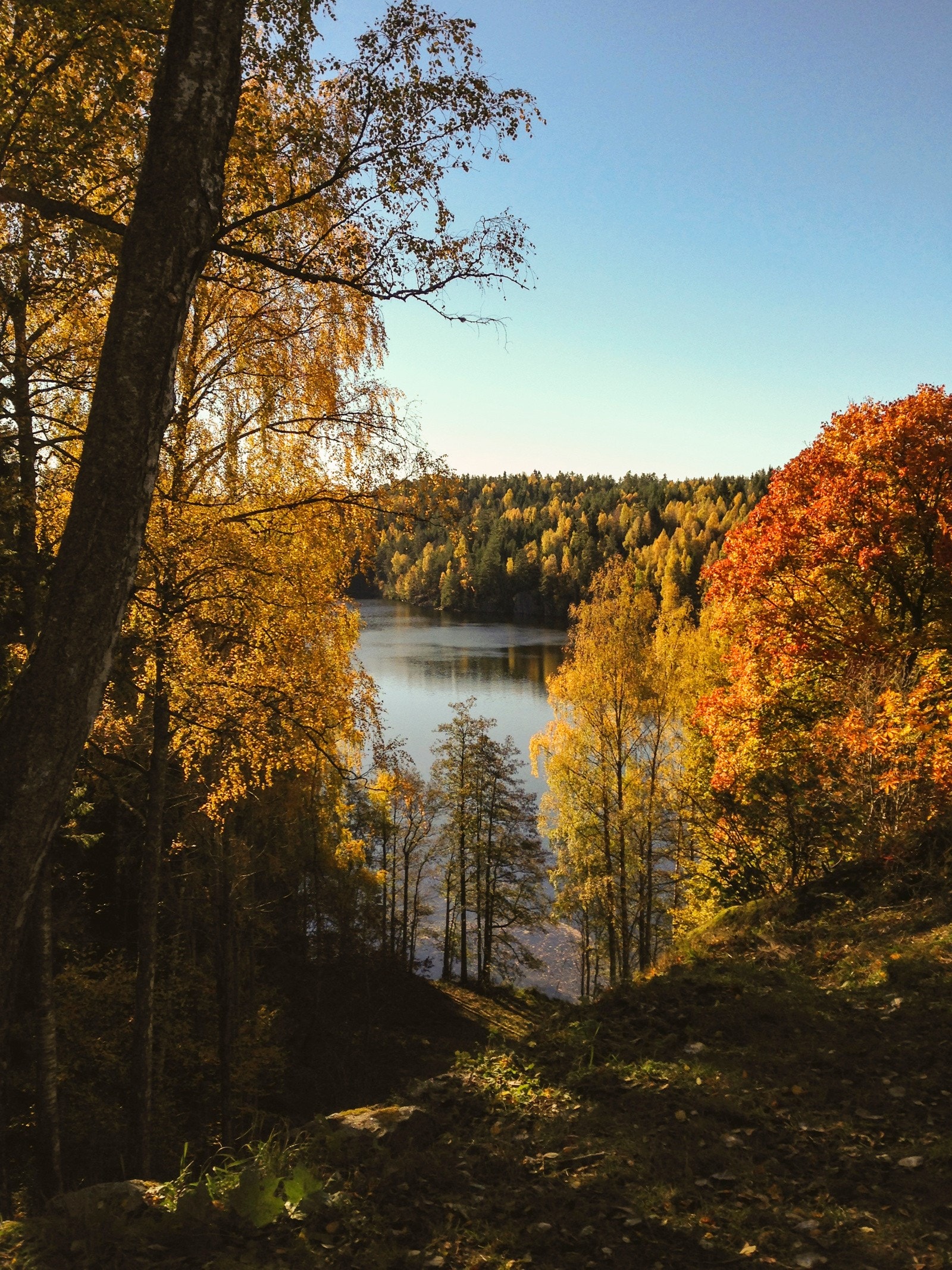 Nøklevann Galleribilde