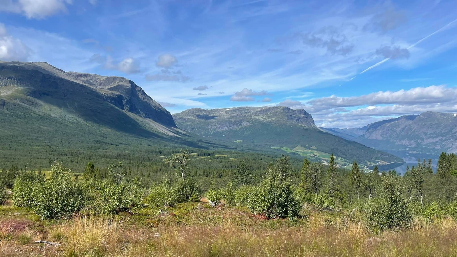 Utsikt fra Solteinlie Galleribilde