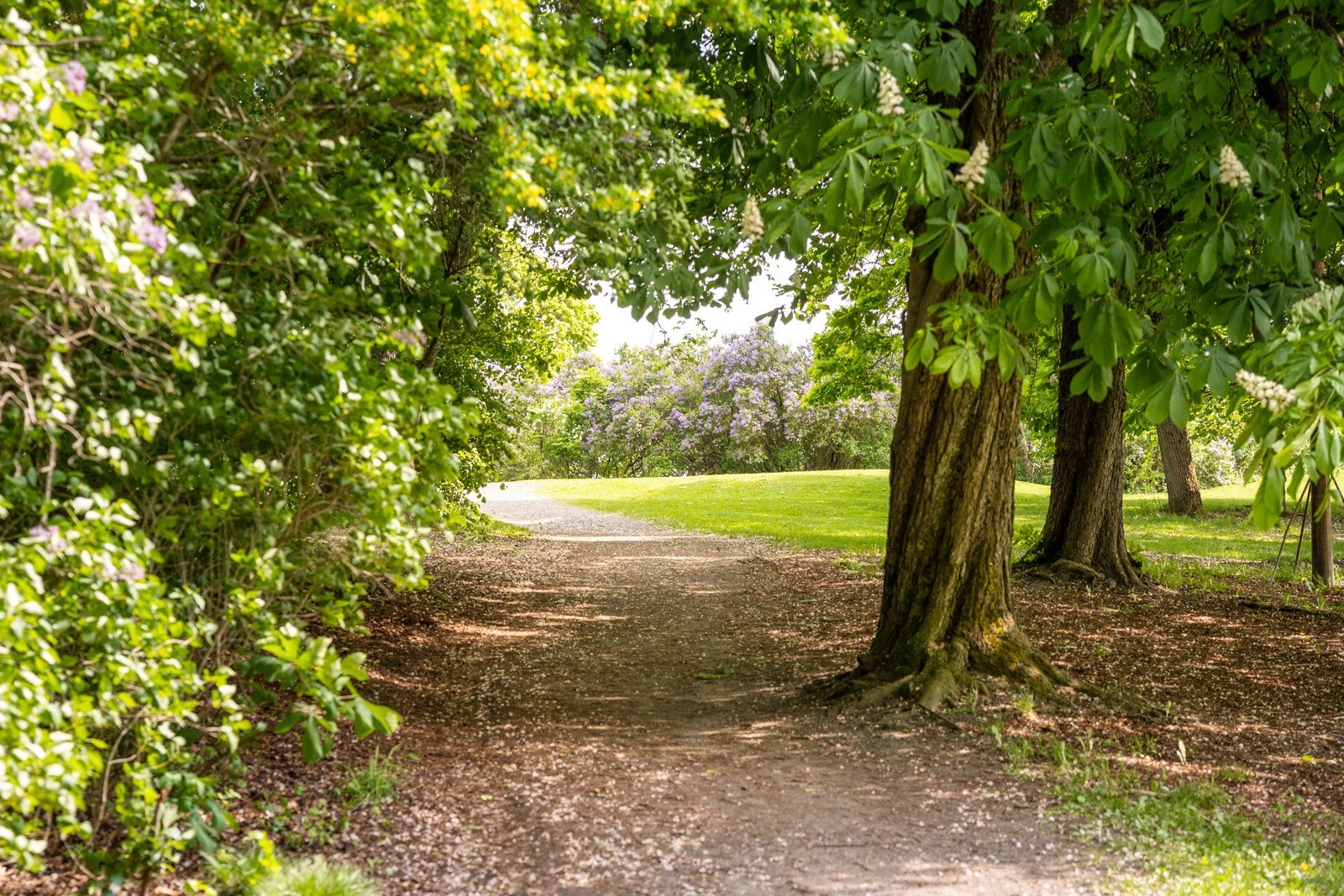 Bygdøy er bare noen minutter unna med buss. Galleribilde