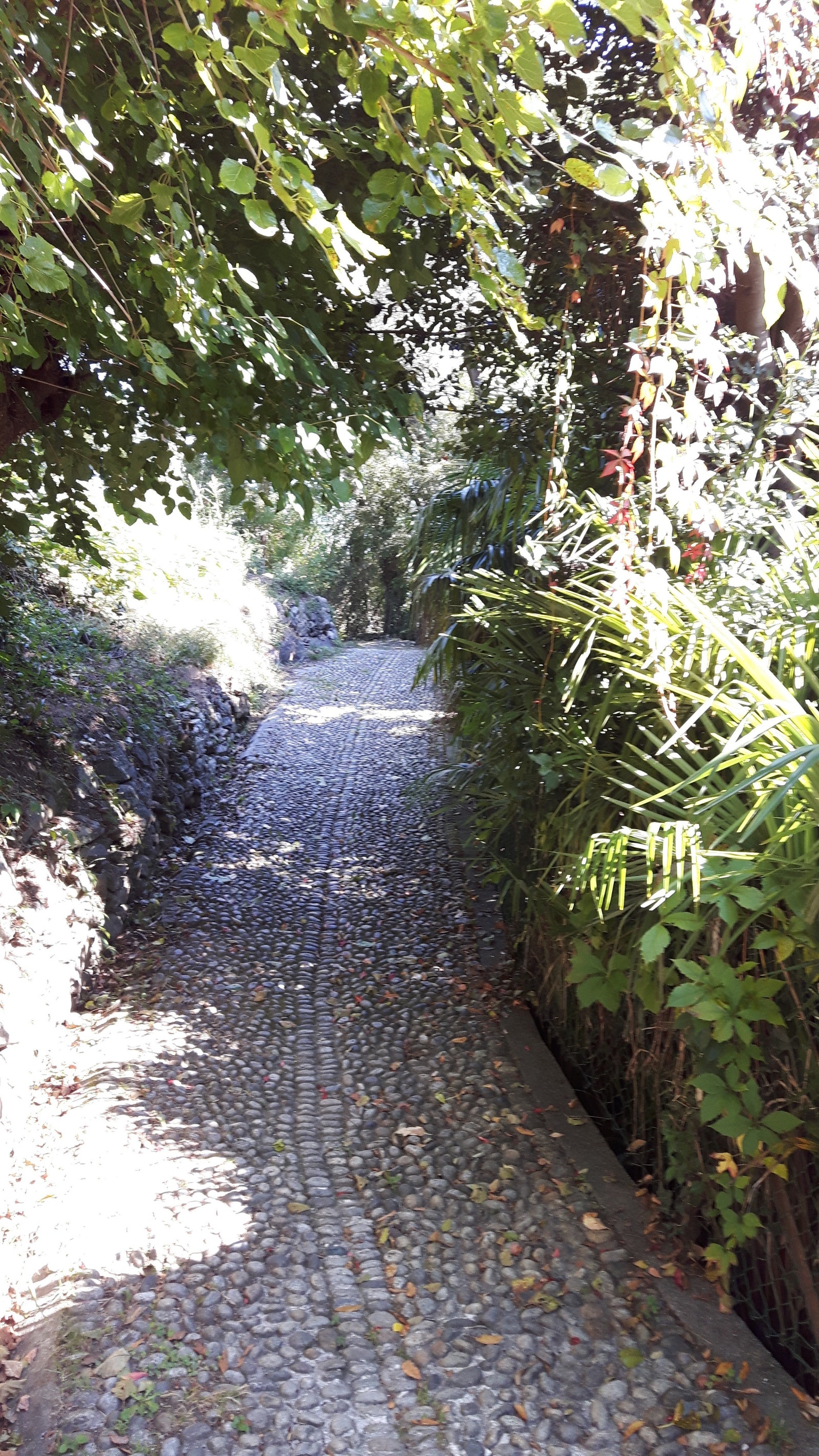 Via Antica Regina - et must for vandringer langs sjøen. Galleribilde