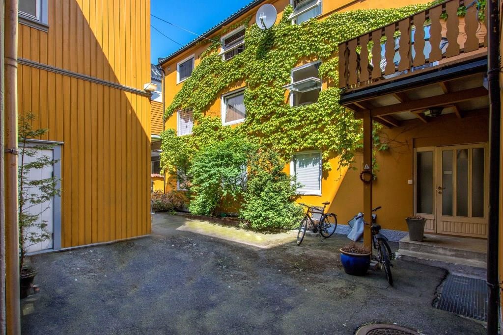 Her sitter du usjenert til og i le for vinden. Galleribilde