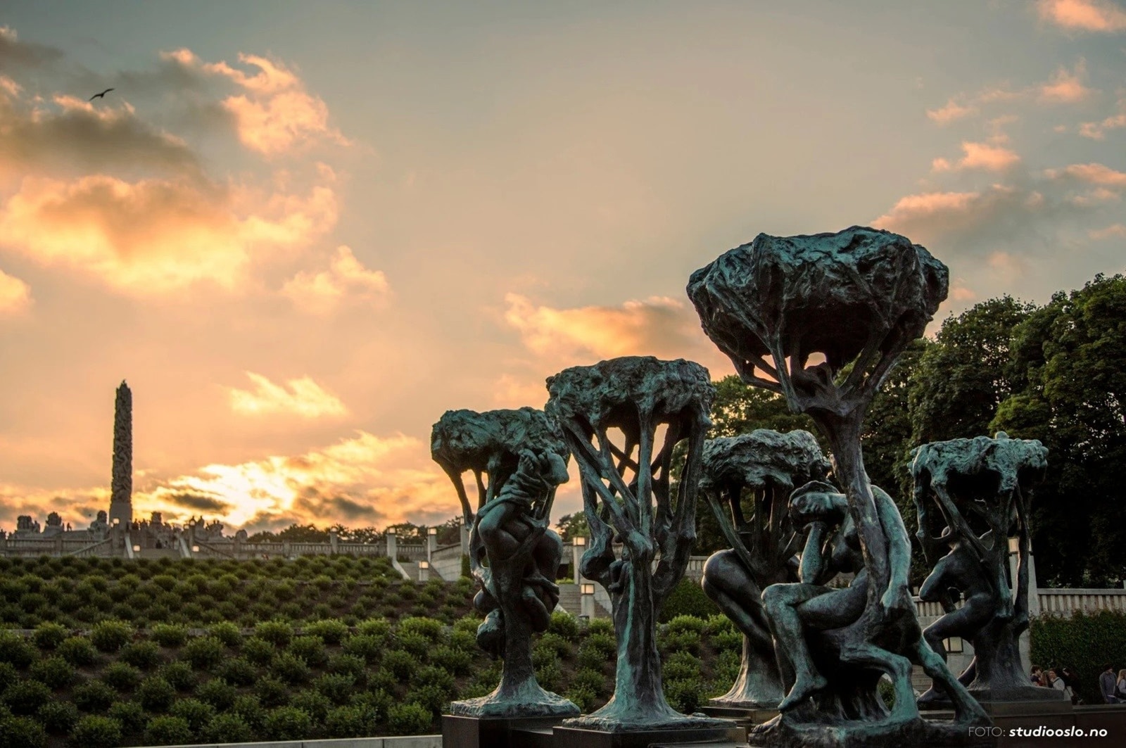 Inngangen til Frognerparken er kun 2 trikkestopp unna. Galleribilde