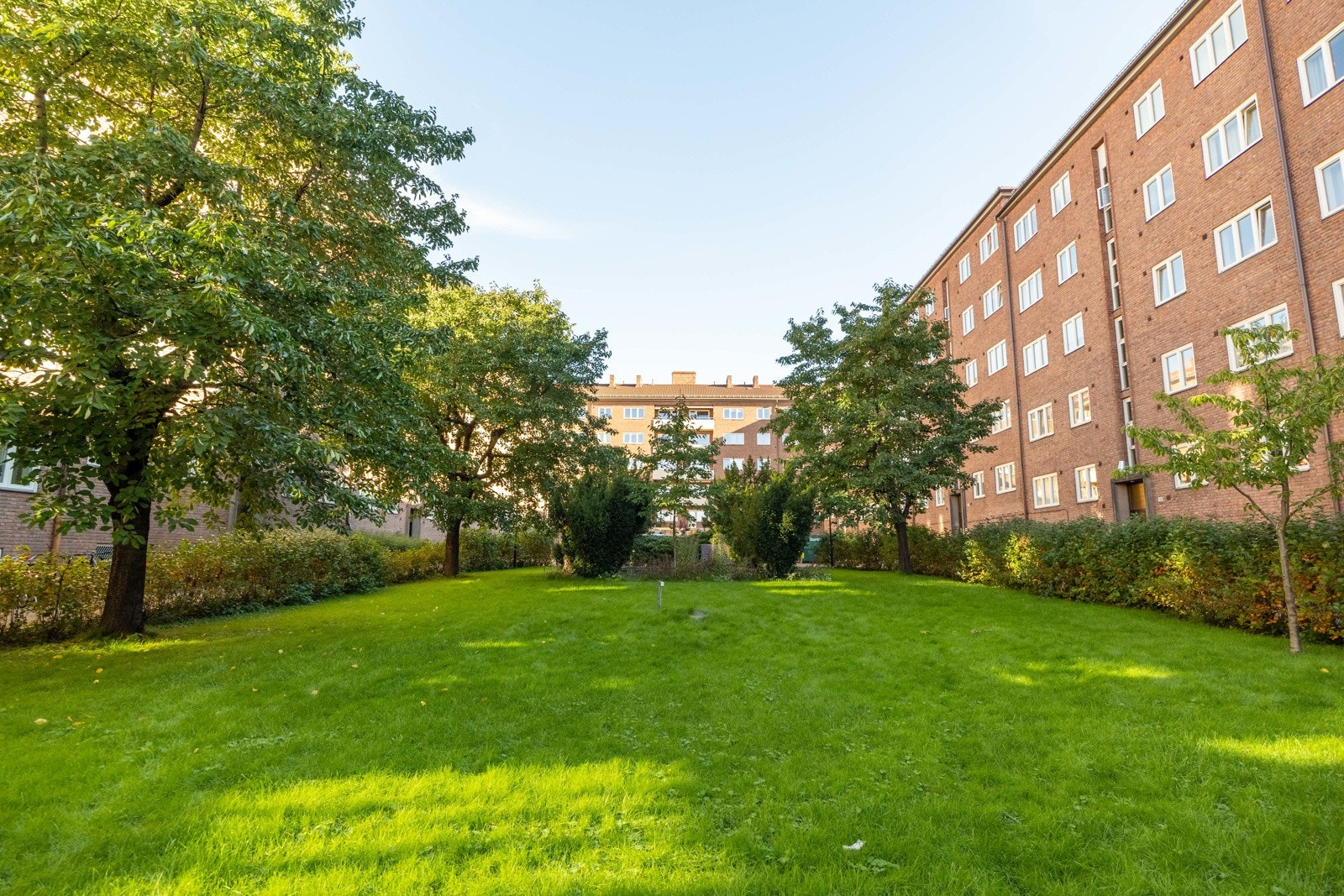 Borettslaget har en grønn og frodig felles bakgård. Galleribilde