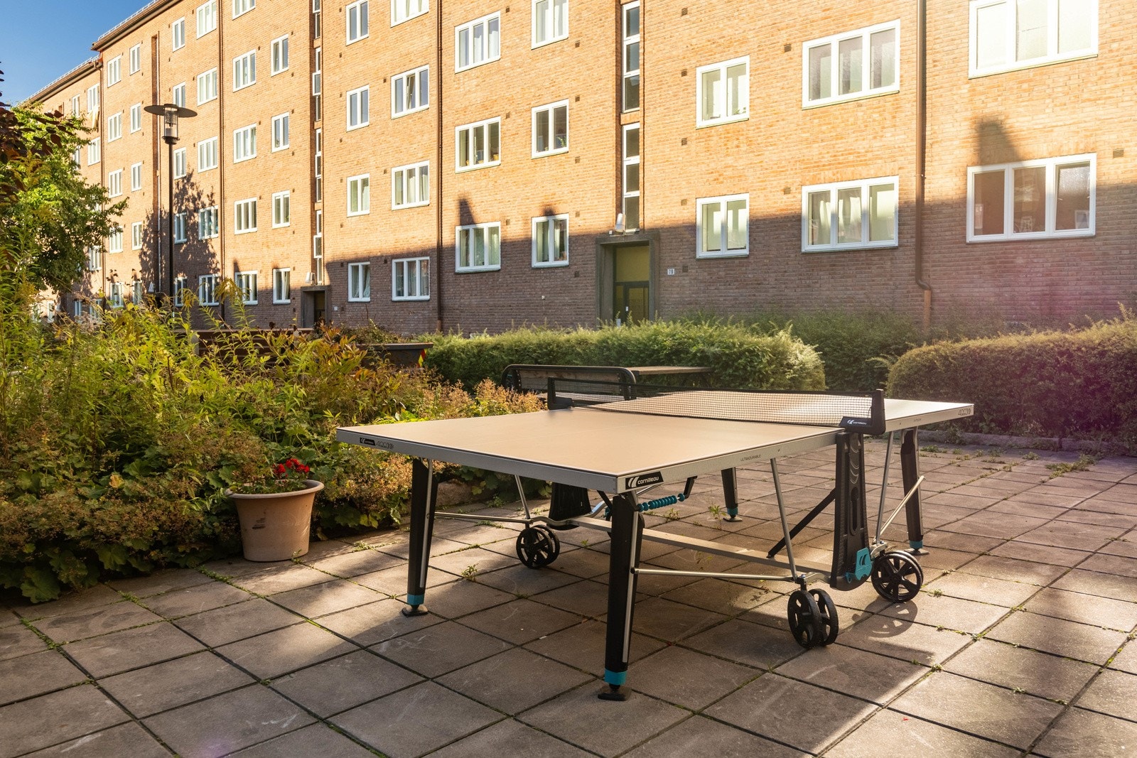 Bordtennis. Galleribilde