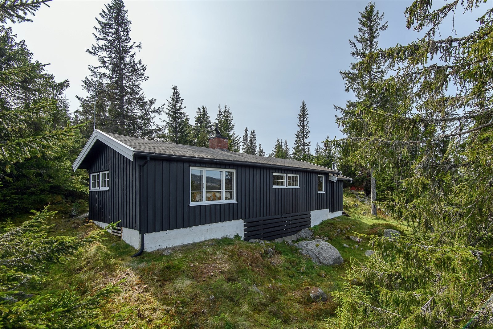 Stille og rolige omgivelser, med fin utgang til løype-og stinett. Galleribilde