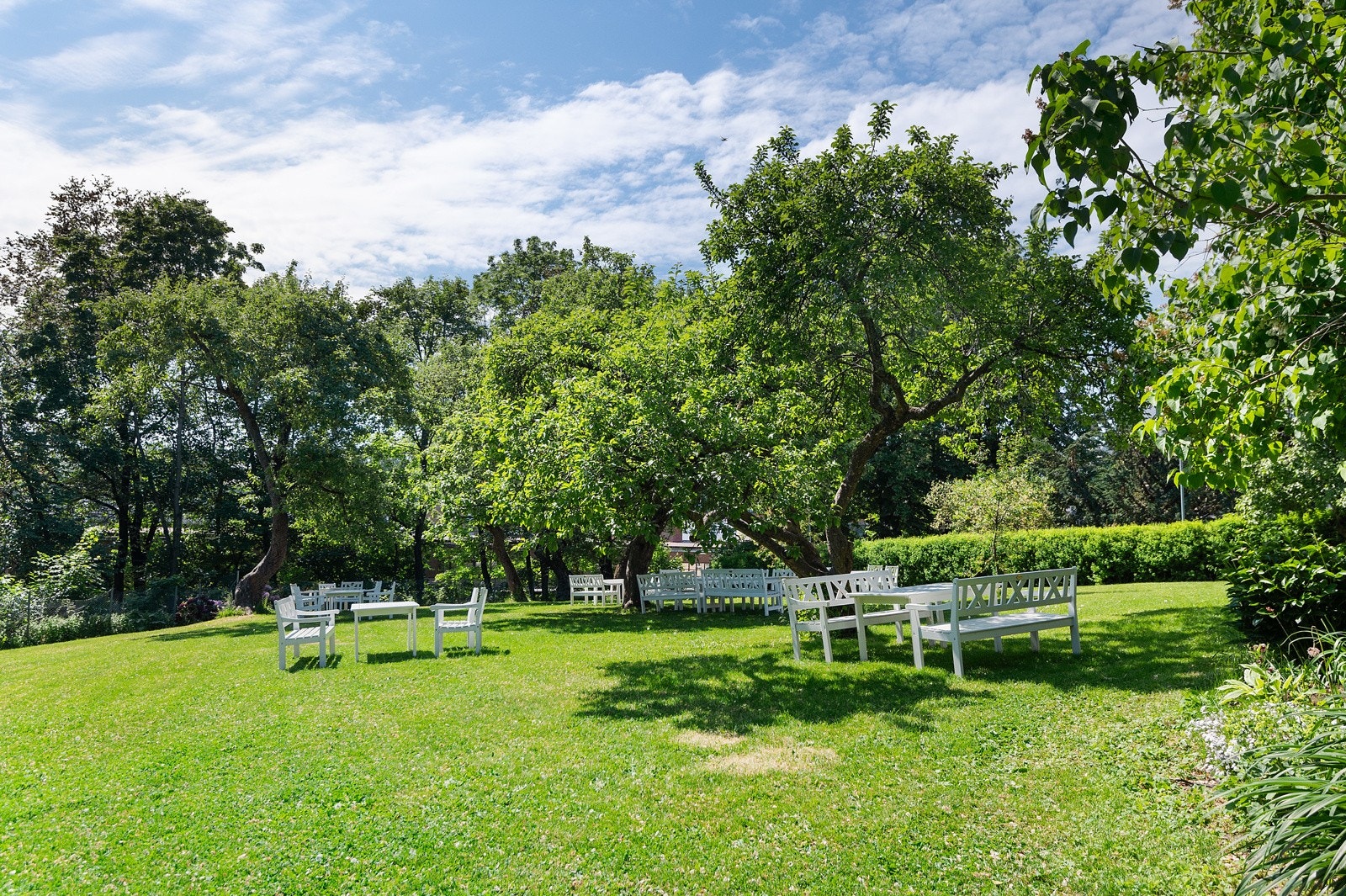 Fantastisk fredet eplehage med trær og sittegrupper for beboerne. Galleribilde