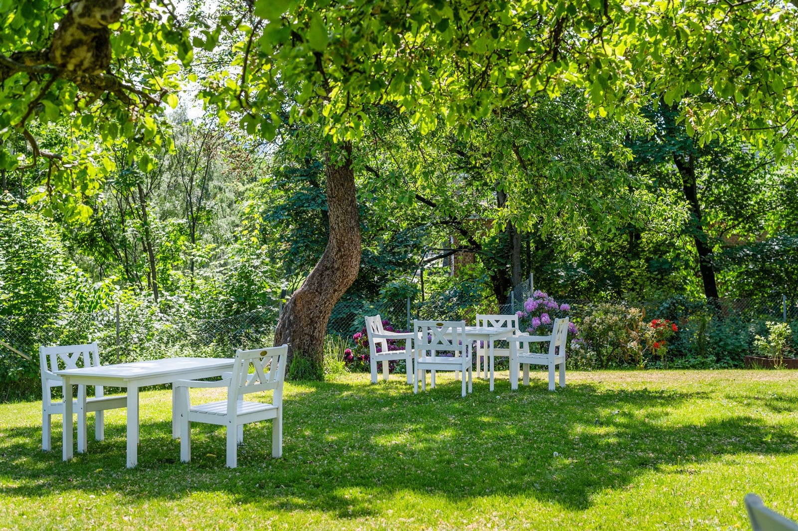 Fantastisk eplehage med trær og sittegrupper for beboerne. Galleribilde