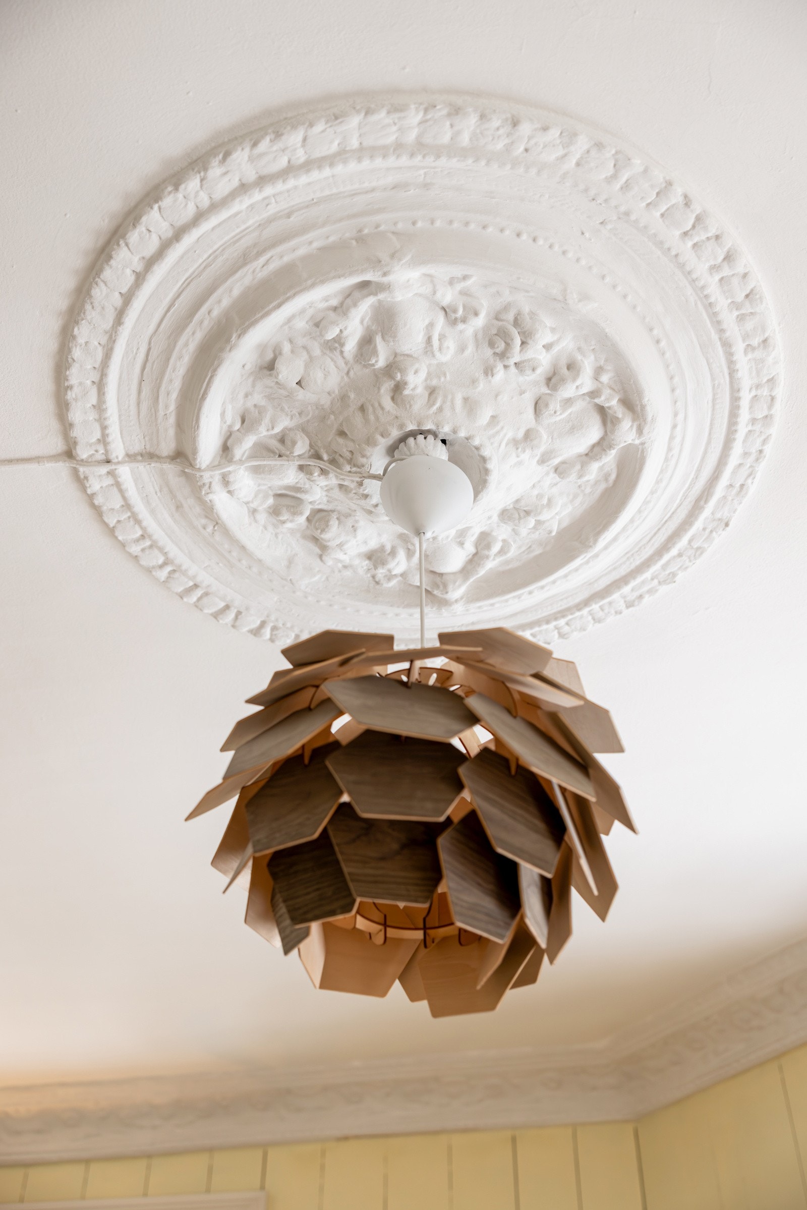 Pen rosett i stue. Galleribilde