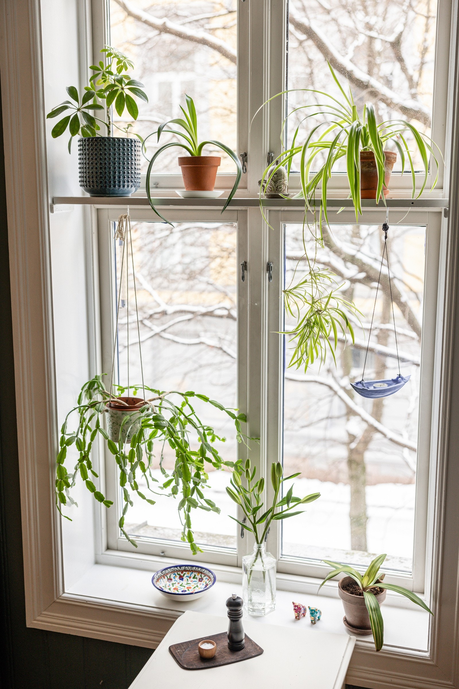 Også kjøkkenet har fint lysinnslipp fra de klassiske vinduene. Galleribilde